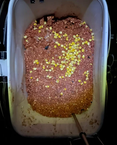 바칸 안에 크릴과 집어제를 갠 밑밥 위에 옥수수를 올리고 주걱을 꽂아 둔 모습